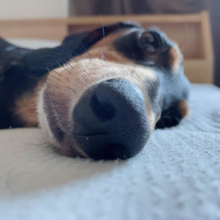 3959747c 4f78 4424 9ee1 1c26200bd1fa 1656651520321