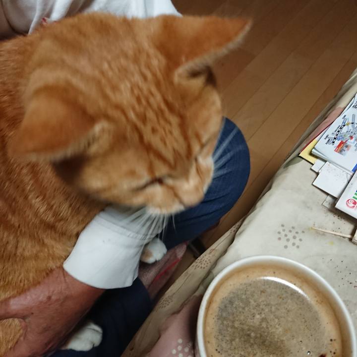 3959803e b1c3 470f bb9d 7dc1e80f7345 1600634106953