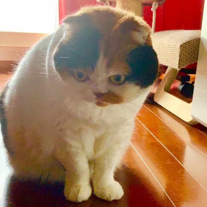 39598d21 7961 4263 bebe 76cabe8d9da1 1567116094024