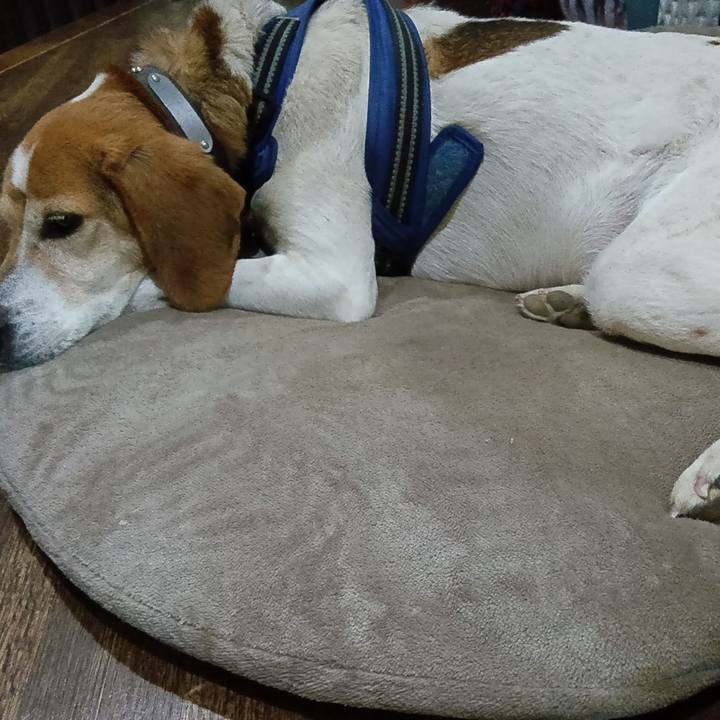 3959b14f db2b 45c9 824f 43ff0310fb16 1743945432236