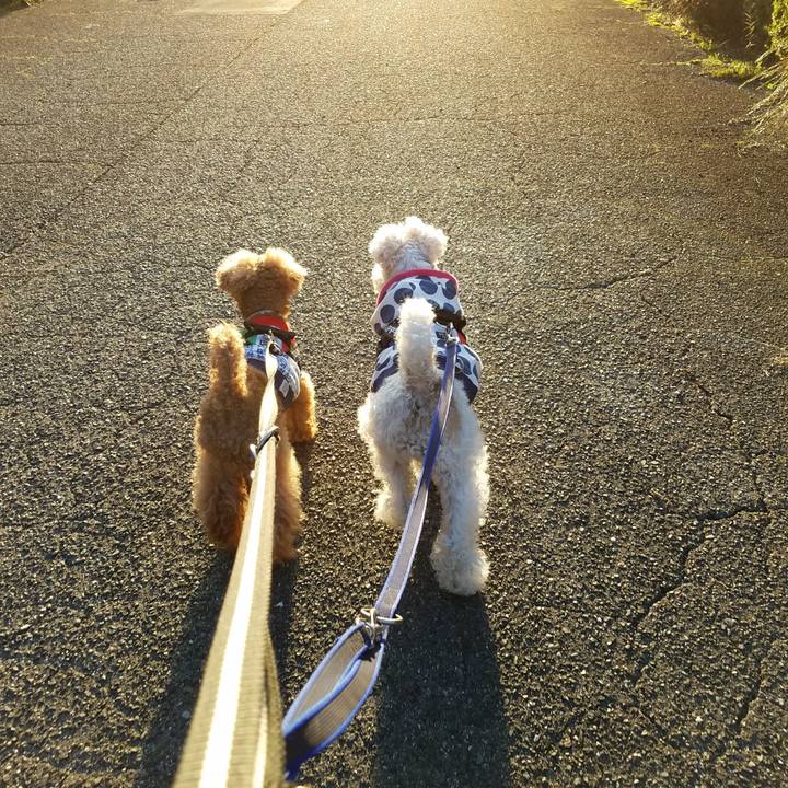 3959cf24 b6f8 4fff 8ff5 35a6e4127f3e 1509583203941