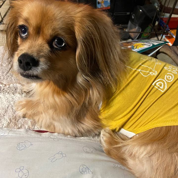 3959dffc 1960 49bd b539 7f844fec0a71 1644787193041