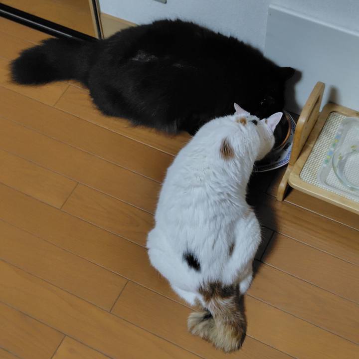 395a1c4b 2fd6 411a 93fb ee201d19749f 1754914560338