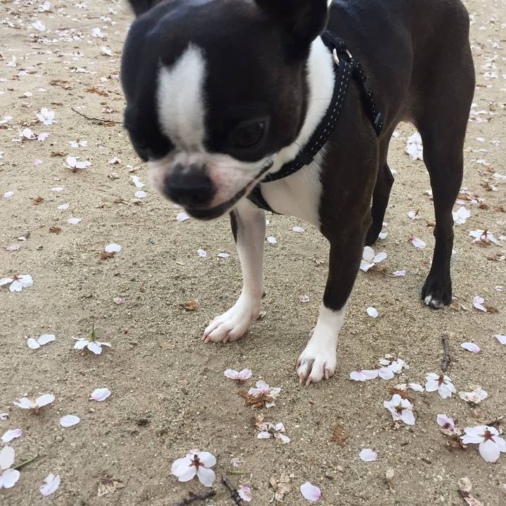 395a1d17 fd72 4e26 af46 5c7026f52788 1523250251158