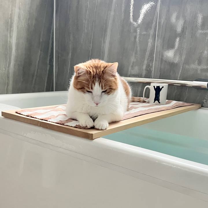 395a4dbe 305e 4f35 a717 391e817aa48b 1771723430122