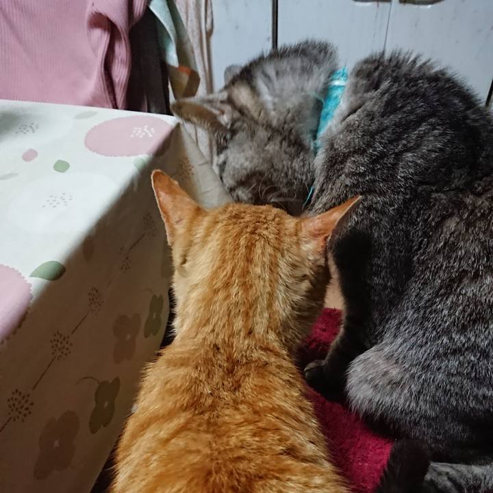 395a8015 0463 4b53 8212 77a4096b2078 1554372649011