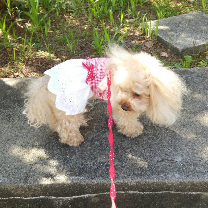 395aa698 943d 43c8 b601 e704c7637584 1524127732156