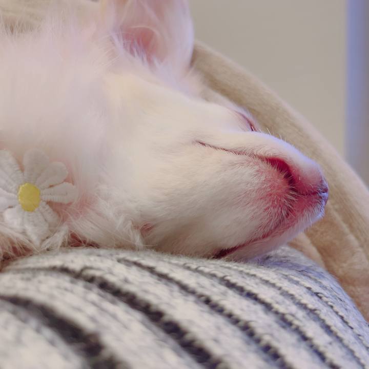 395abb88 264e 4605 b72e 78a4ab1df524 1692358373549