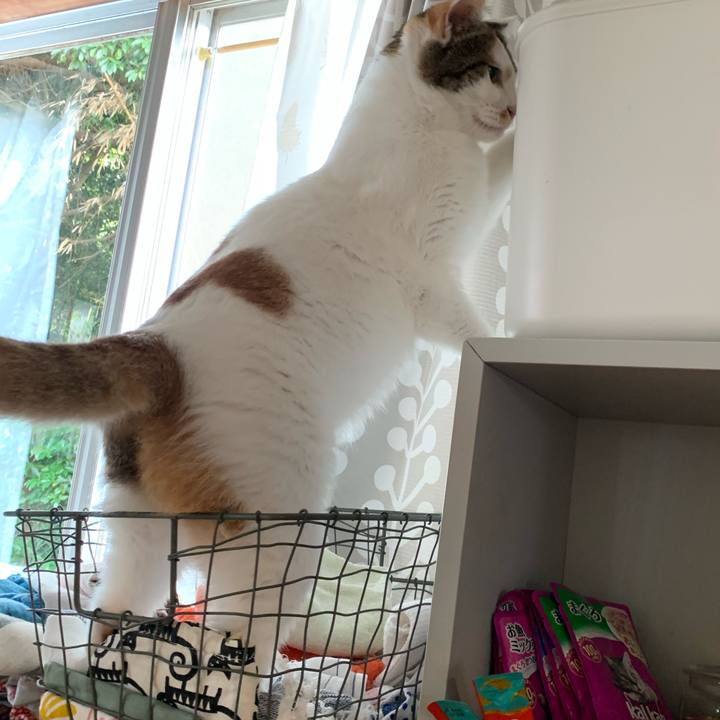 395afa59 cf10 4a36 aabb 129bf66841e4 1630483118206