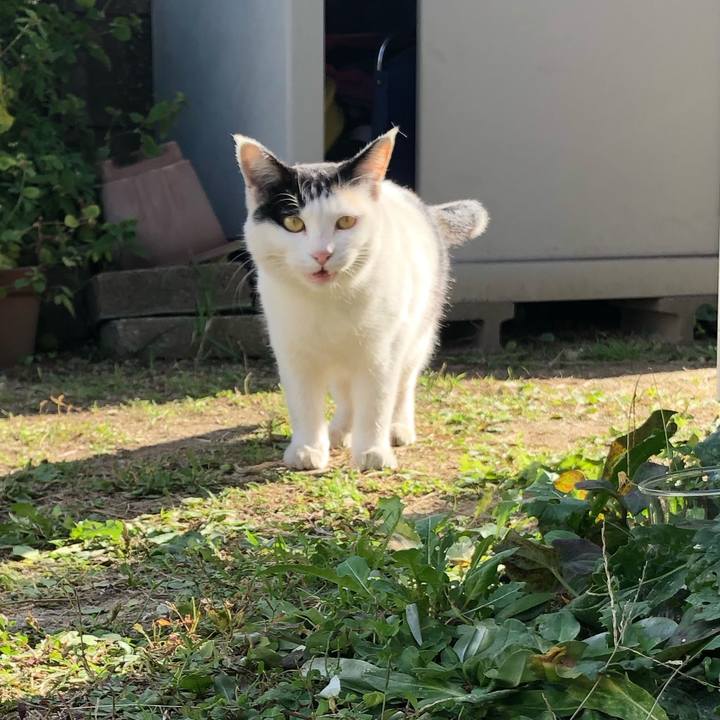 395b165a 7927 4891 84fc f49ee10fca20 1604922847797