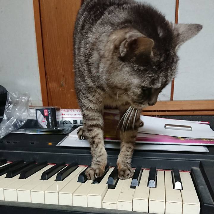 395b30db 66b4 471b 9cc2 e1725abe5068 1552468687157