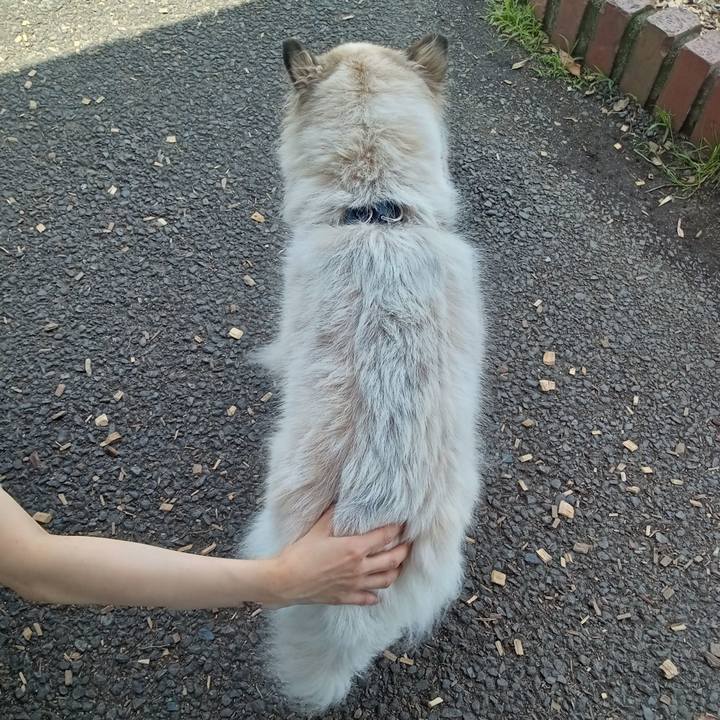 395b979e 2a0f 4b89 8c6b c1fe01a713db 1687350266811