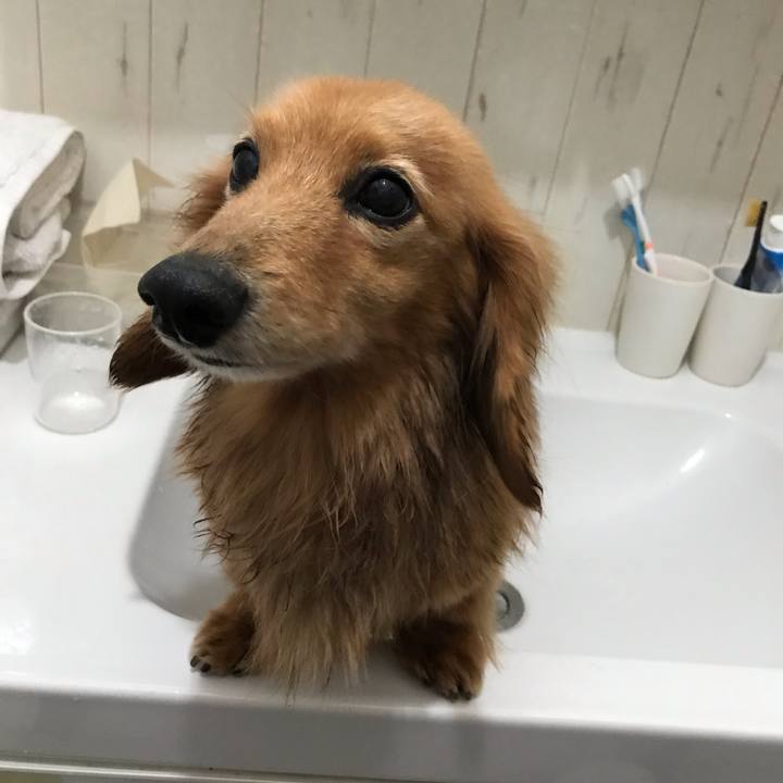 395b9b48 2755 4634 8160 bd33f66dffc2 1586594941425