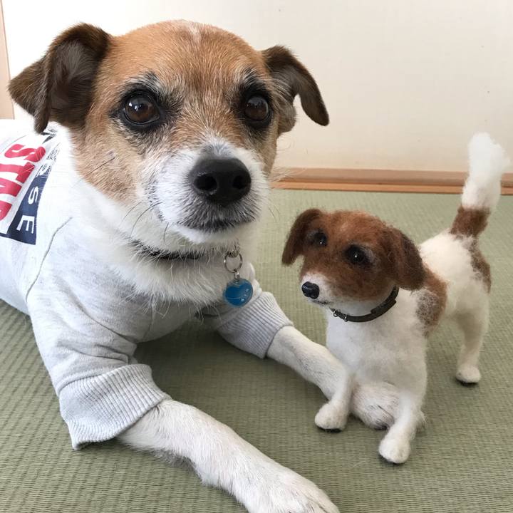 395b9cbe 54f0 407c 91c0 d13cd87ee458 1548329407894