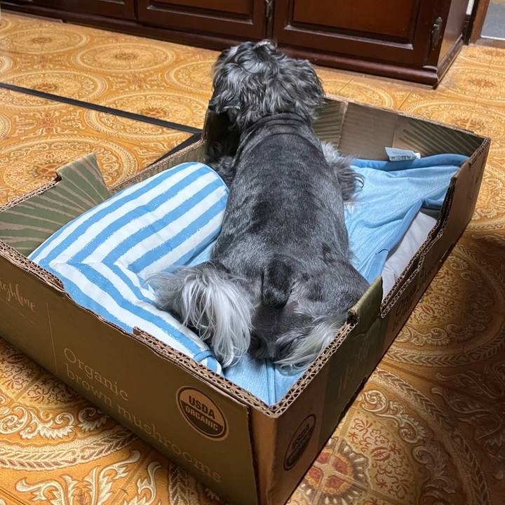 395b9eb8 e571 46b7 8802 9e0313051521 1718199248833