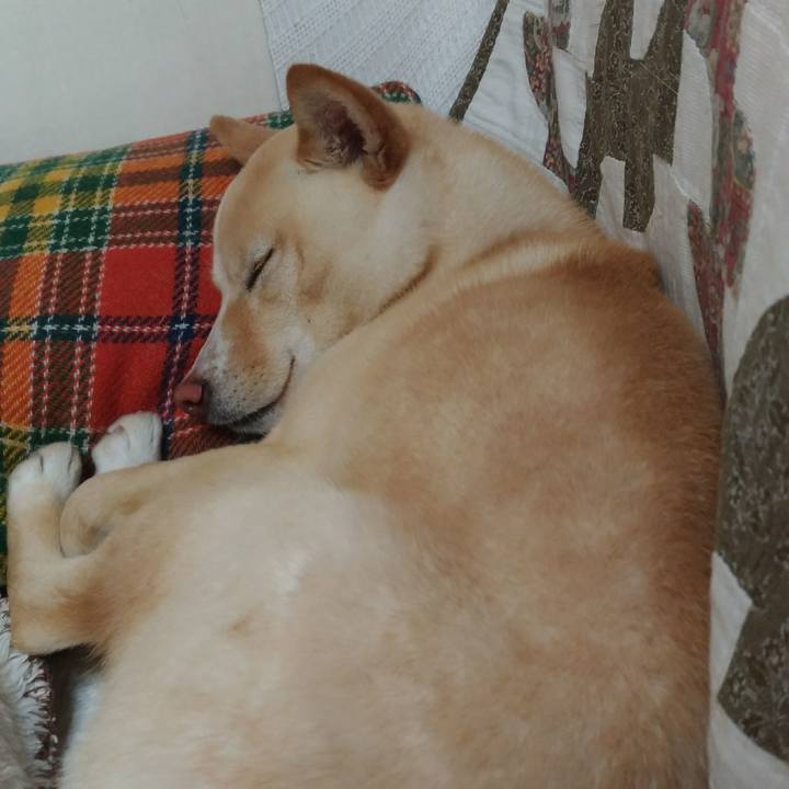 395ba3bd dcd9 422a a0a9 304bc44840eb 1518870946520