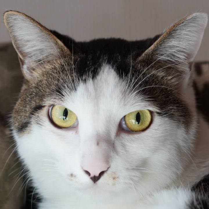 395c0f73 89a4 4a9f b1f7 9096a958f390 1572062735404