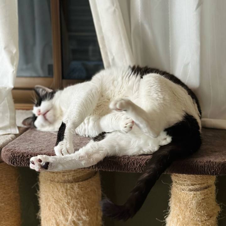 395c26a1 377c 4480 8c90 5758cec14c76 1720403116098