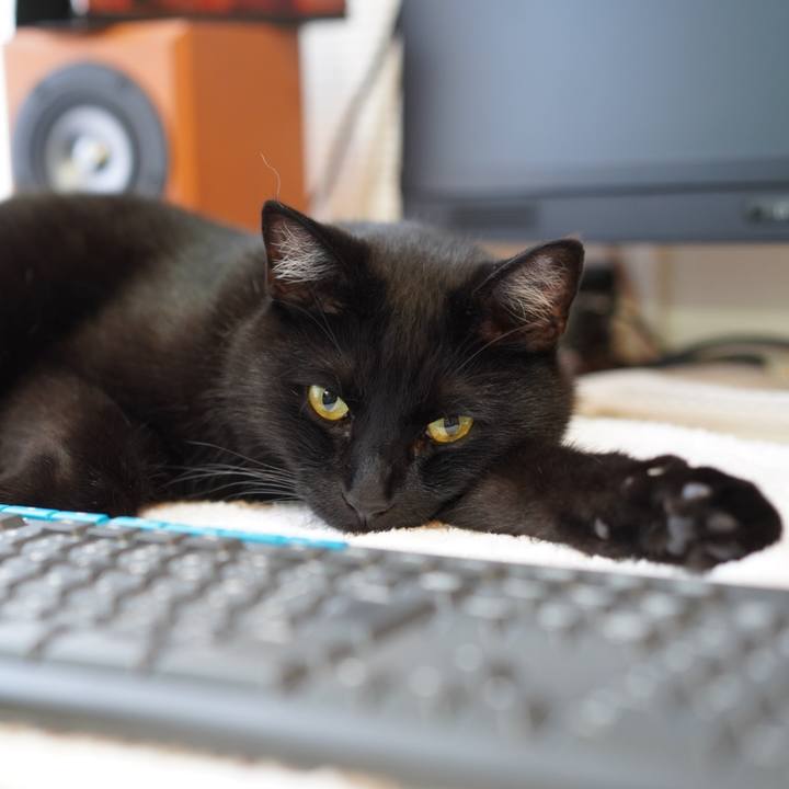 395c6f38 7a1d 4452 a8da 52676a6d4d5f 1624066027072