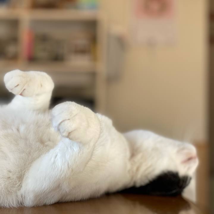 395c7c6a 13bb 4b47 a932 a388dfc6a9f6 1612399040916