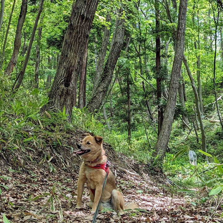 395c877f 8bfd 4d7b 875c d73841f95e0a 1685439667285