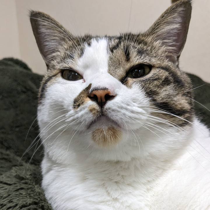 395c94d9 b03e 47fd a20c dc9148f60c97 1696769333402