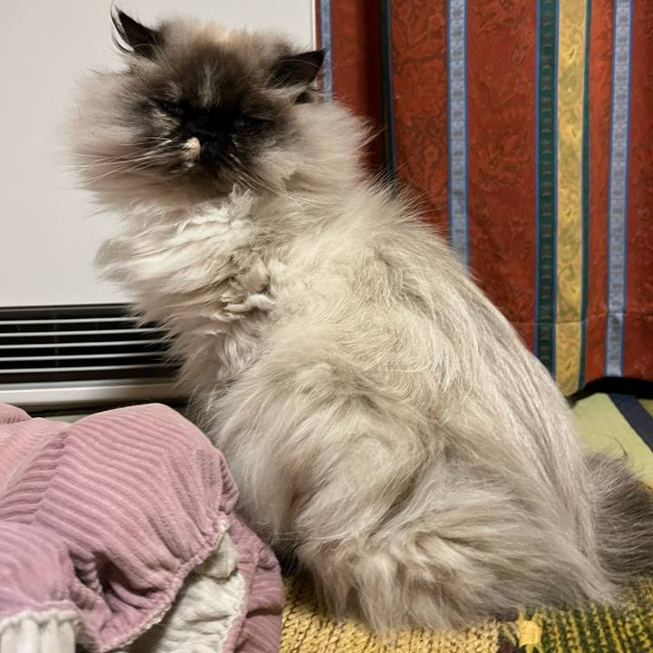 395c9e5d 9696 498a b4f8 14e39f4ebeb0 1676643965027