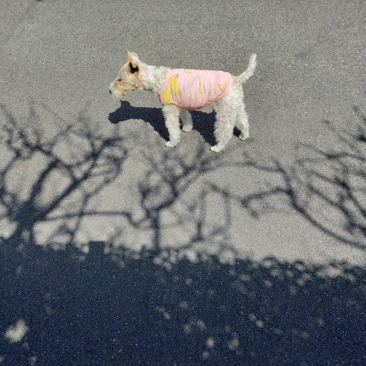 395c9fcb f2b1 4b32 b677 13ad8aa8078a 1649469929669