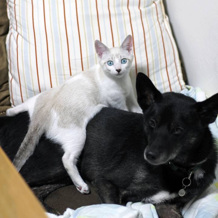 395cd062 f272 4cc1 955e 4820e0aadc22 1602590309547