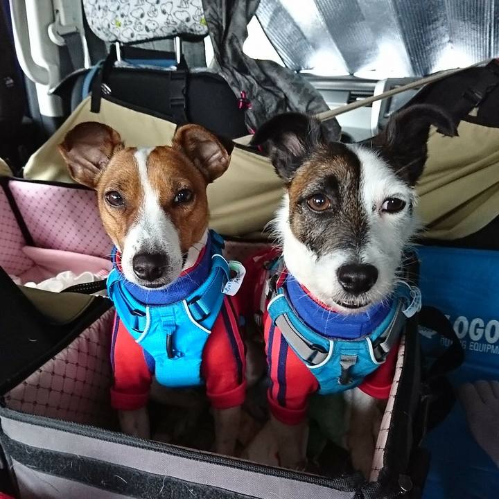 395cd3fe 37c1 4d87 b9c3 41ef9d3aad68 1556316033776