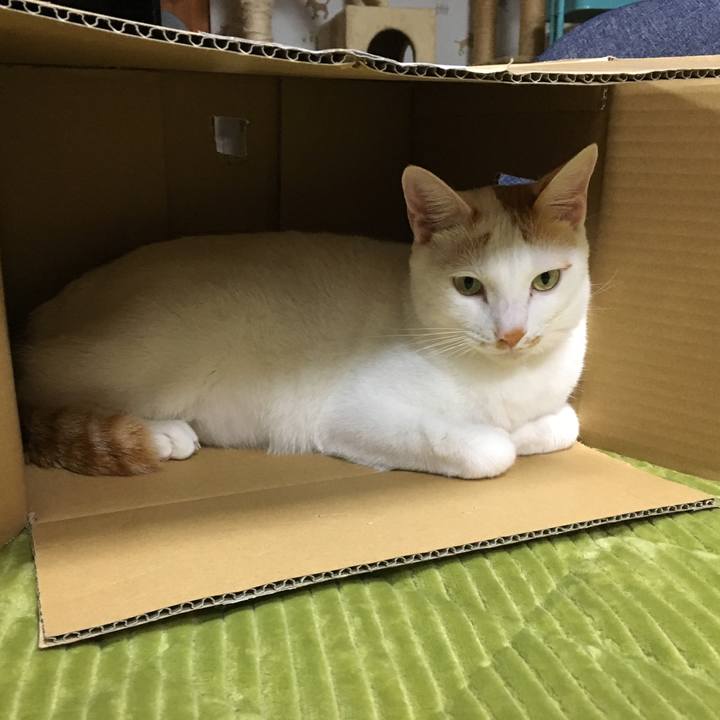 395d15ce 6267 4e88 8aee 557d5c7732b8 1540387299714