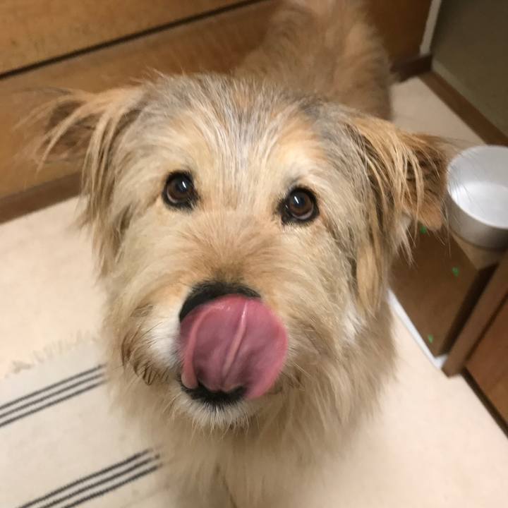 395d3b31 af99 4b97 b921 047913bb39e1 1554978229711