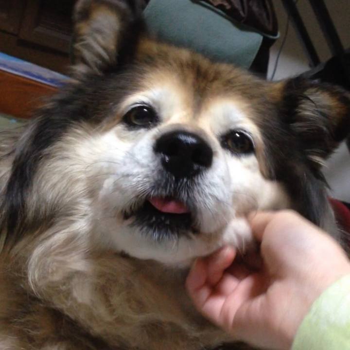 395d61b0 ad09 44dc 8ec2 50baa2445949 1602293602882