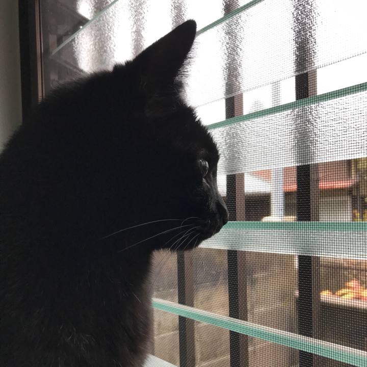 395d63f5 260d 4185 8c94 bc37fc9fe38a 1521943019699