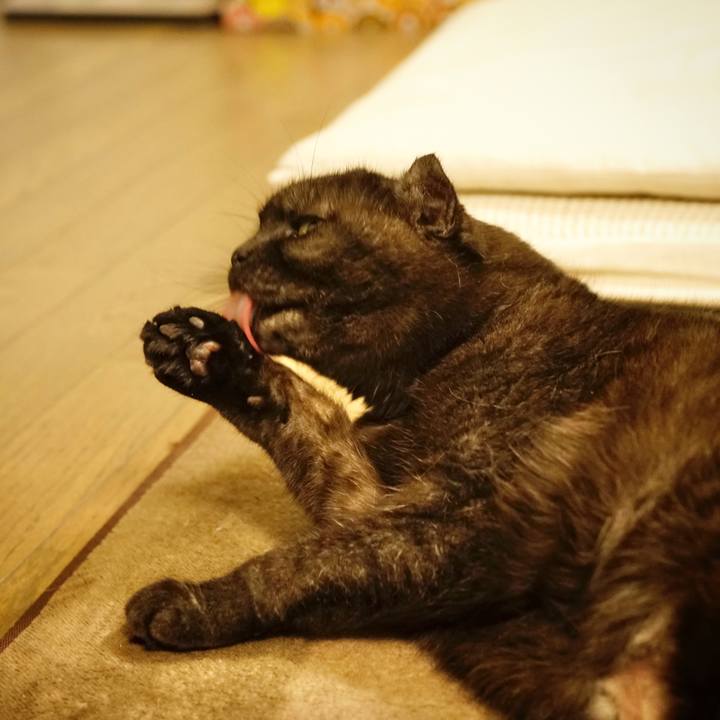 395d8506 8175 413d bc33 f1fbf777e9bc 1612192639326