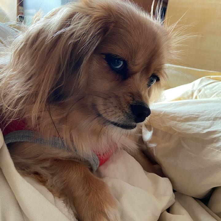 395d8f54 1fa7 4524 8693 0a3336f90686 1578957897923