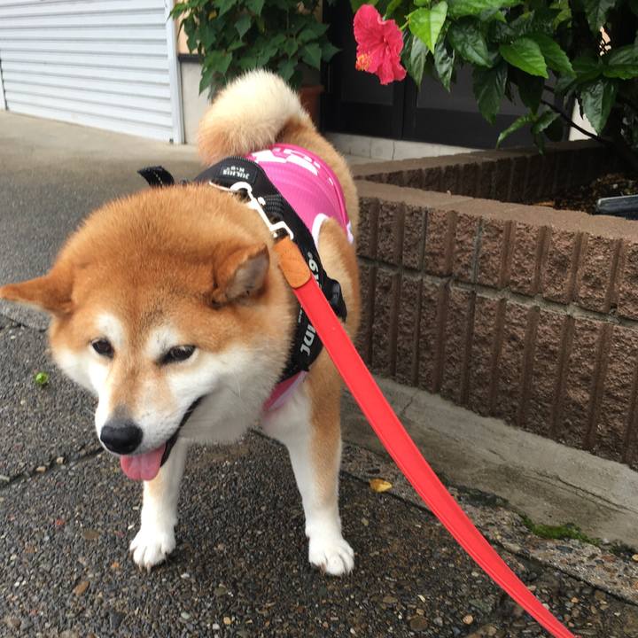 395d9137 a364 43e6 b909 527f1ff21d5b 1595476950594