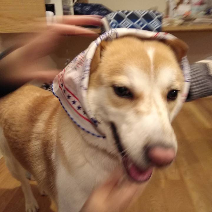 395d951e bbf8 481e b89f ec6a1bcd7cde 1524314557101