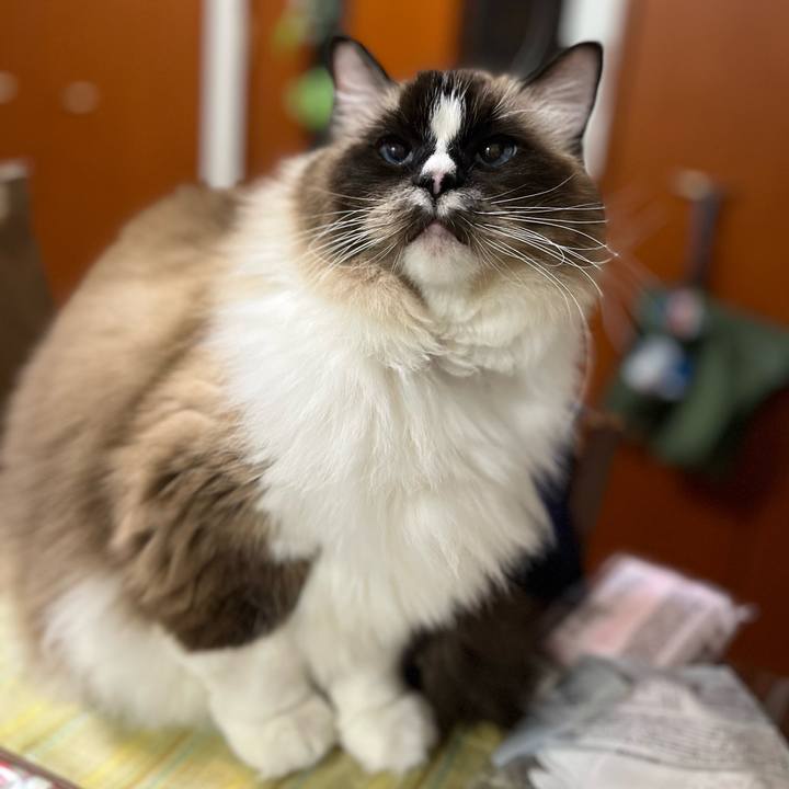 395dbb6d 55a4 4344 a953 0a368a7d57b2 1734962033020