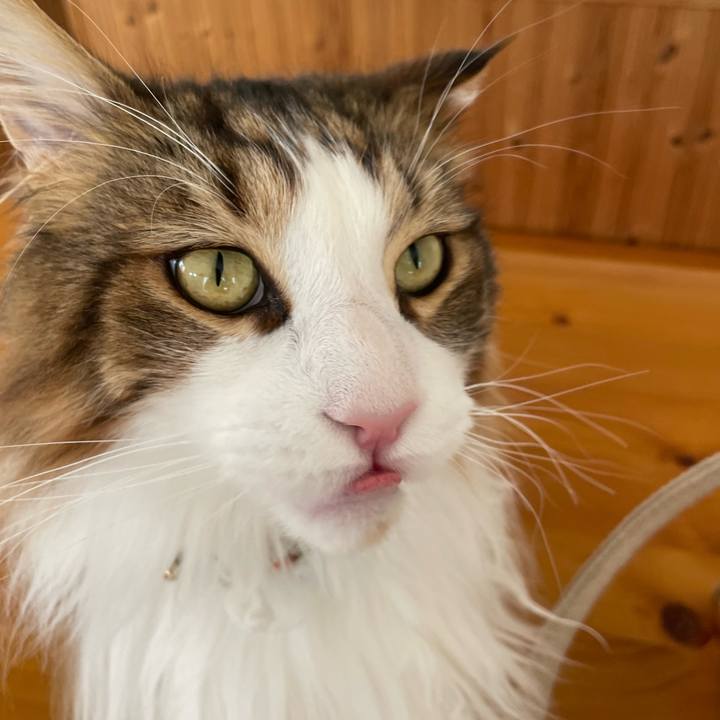 395dc94e 77e0 4670 8624 1b99edf15153 1681541156379