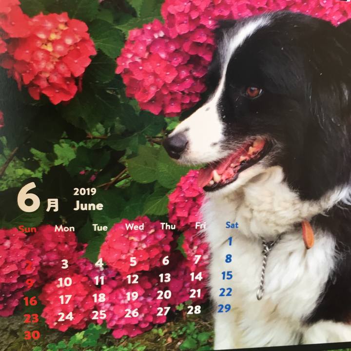 395ddc31 ca83 4781 b368 c32131b8290e 1559353928107