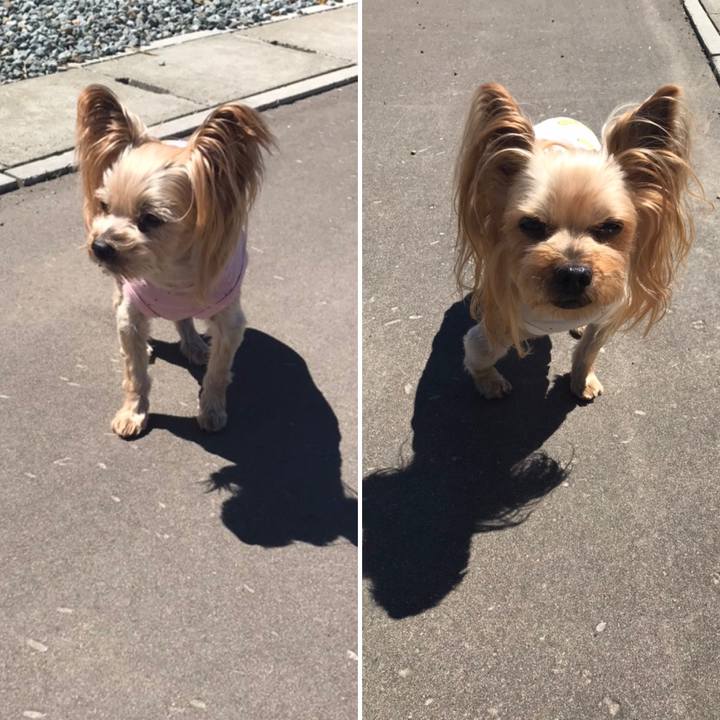 395e27c4 4e7a 4bf3 a401 c6fd40e142cd 1619429344085