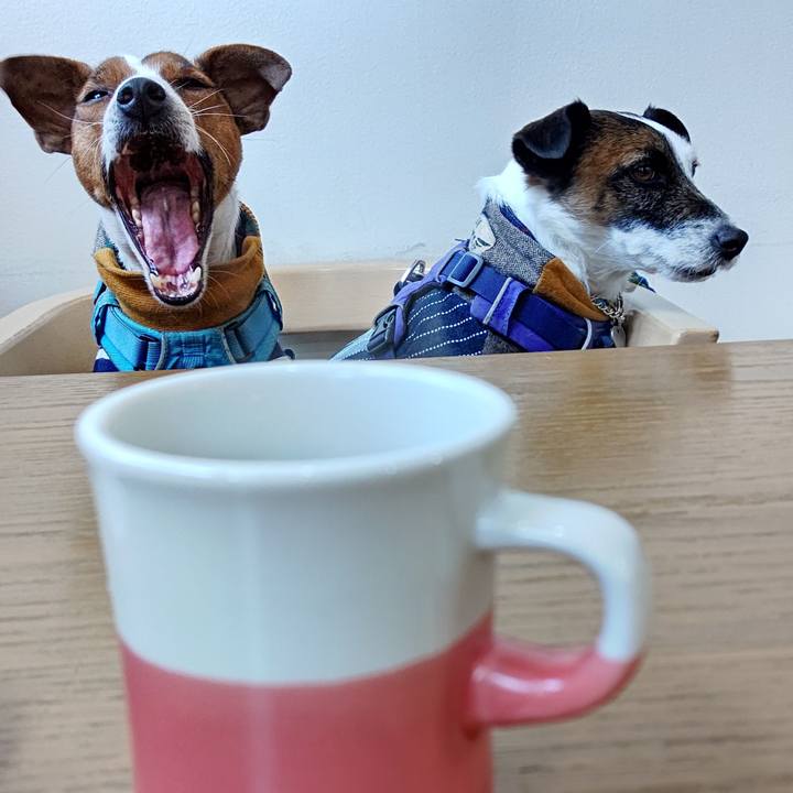 395e3530 ff41 44c3 af96 dc686618966a 1644125321739