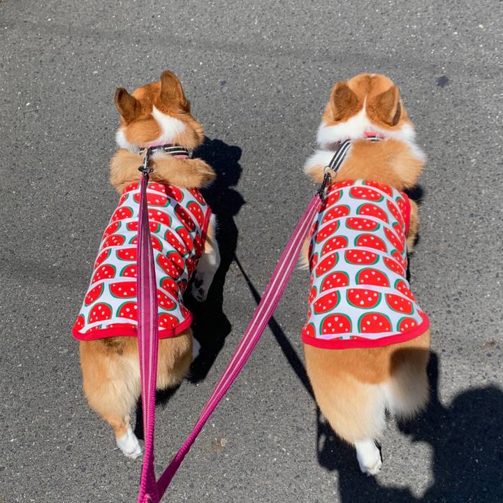 395e44c9 8b7b 4da6 a611 9ddab761dc7f 1568273820970