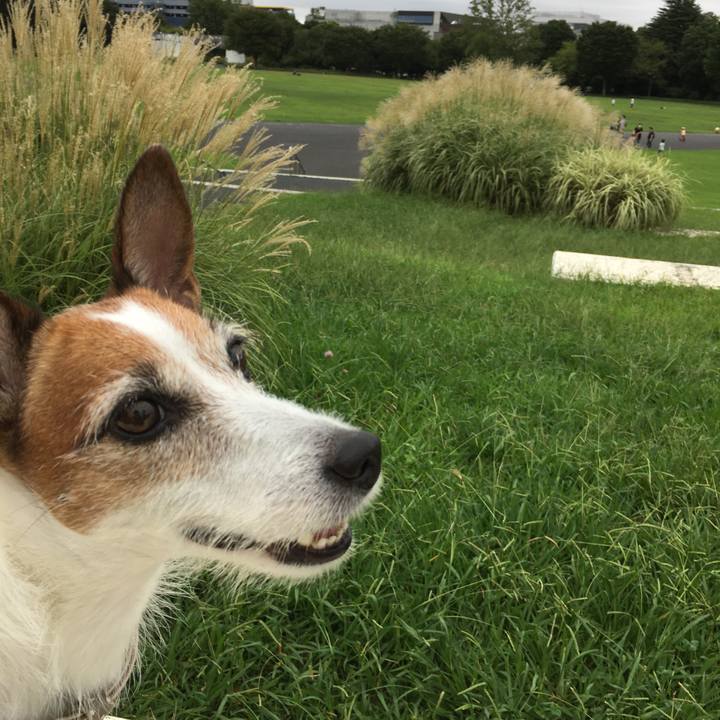 395e506b 088e 484c b883 e1ccafb9769c 1600648394871