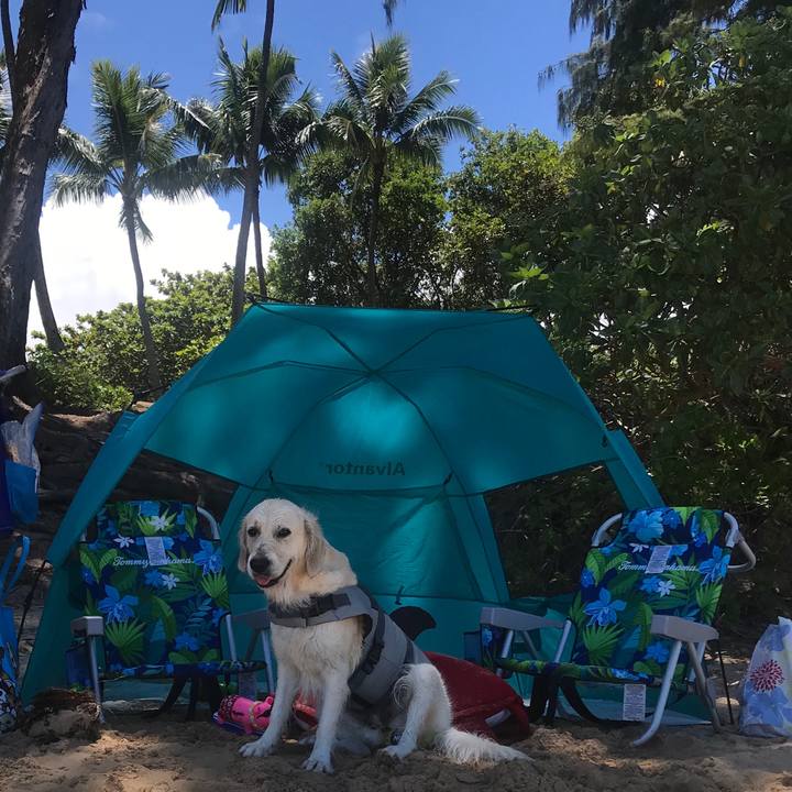 395e7392 6339 4e85 abf1 0cae7faa29f7 1536308138959