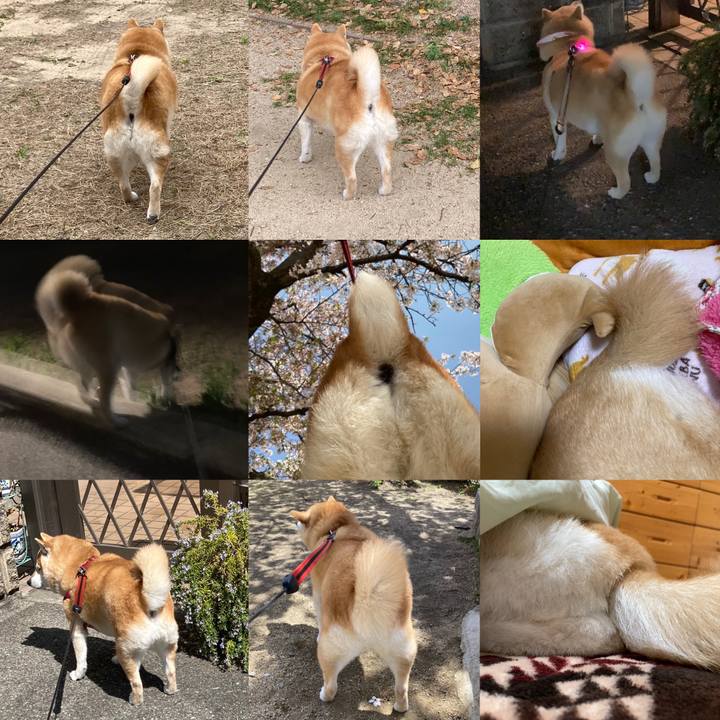 395e7e4d cd0f 4e4d a675 5aa02cf6ba5c 1650893662798