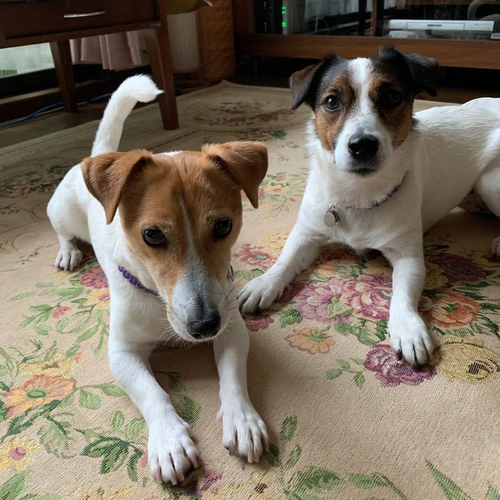 395e8520 e639 4d1e a31b f0632f9f8bd8 1588553947588