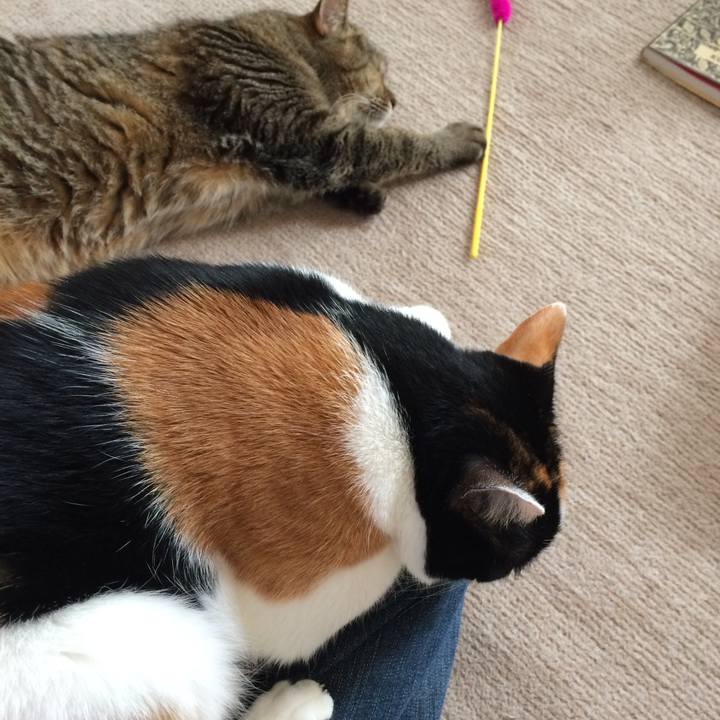 395e8d09 57cc 4446 9227 a61e85be1bbd 1531782091998