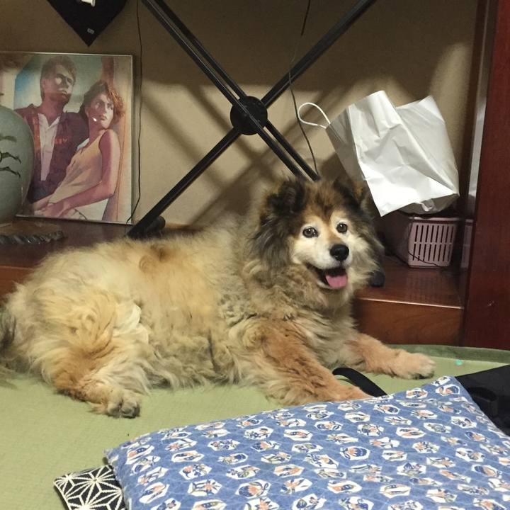 395e95d6 ab7b 49d6 aff0 a5fe3b411c3e 1598493024413